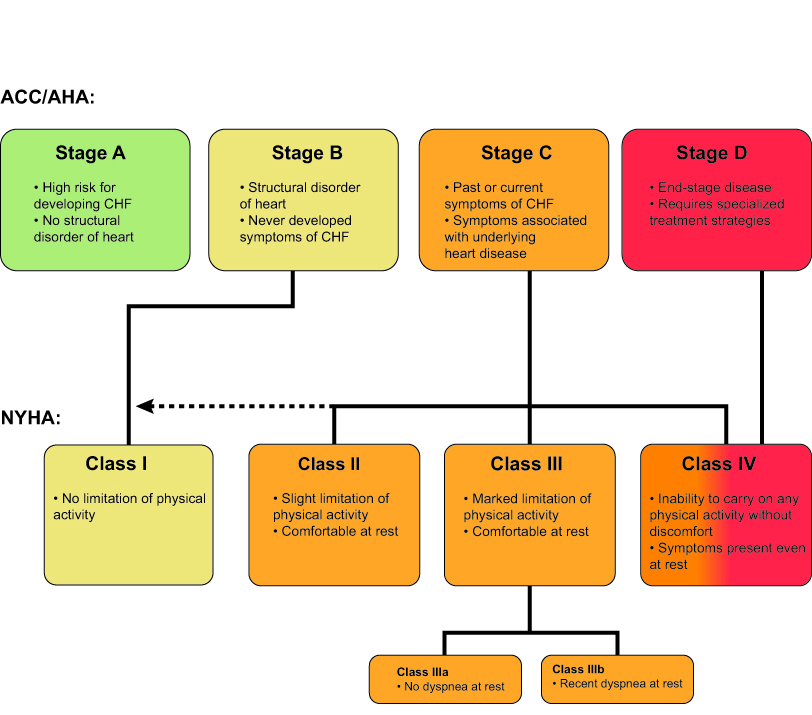 The Stages Of Heart Failure Heart Failure Online